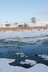 фото "январский пейзаж"
