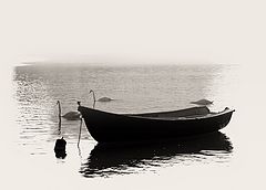 photo "***"