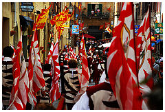 photo "The parade"
