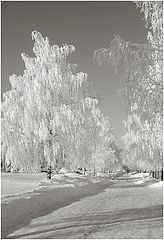 фото "Снежная королева."
