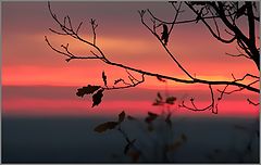 photo "***"