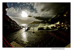 photo "marina"