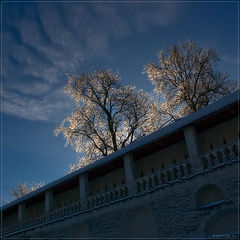 photo "***"