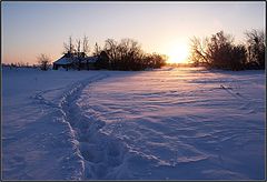 фото "Брошенный"