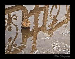 photo "Small"