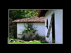 photo "***"