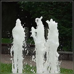photo "***"