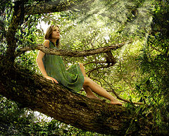 photo "A spirit of the forest"