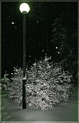 photo "Before New Year"