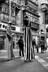 photo "The Giants"