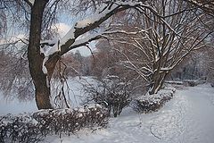 photo "***"