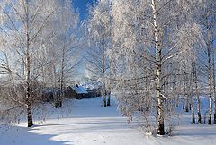 фото "Крещенские морозы."