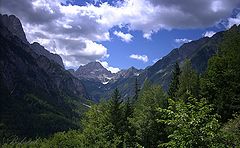 photo "***"