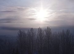 photo "***"