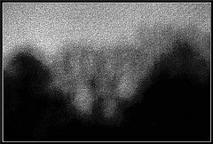 photo "Through A Screen Darkly"