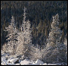 фото "На склоне / 0205_0027"