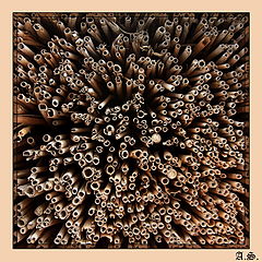 фото "***"