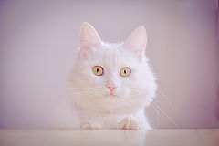 photo "wassup?"