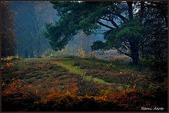 photo "***"