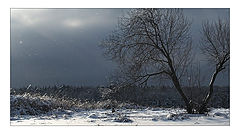 фото "Поэзия зимы"