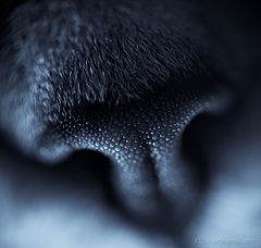 photo "bio 2"