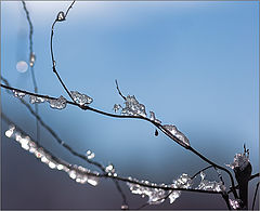 photo "***"