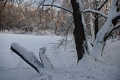 photo "***"