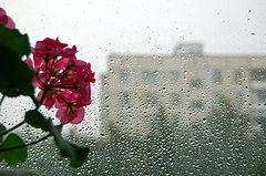 photo "***"