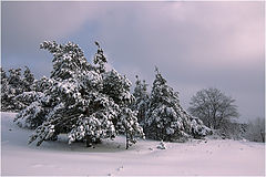photo "***"
