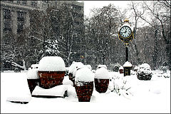 photo "Snow at noon / Снег в полдень"