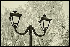 photo "***"