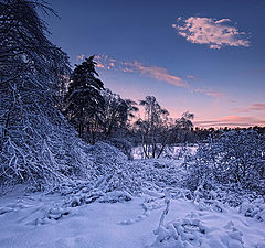 photo "Winter twilight"