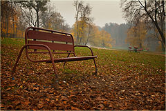 photo "***"