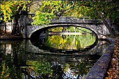 фото "Autumn Eye / Осенний Глаз"