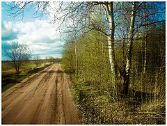 photo "***"
