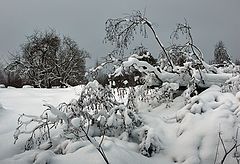 фото "Зимняя красота"