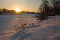 photo "***"