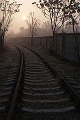 photo "***"