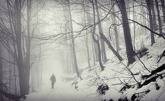 photo "Trought the mist"