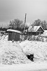 фото "невелик теремок,но охранять надо.."