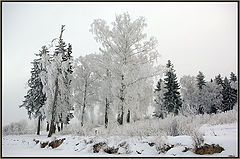 фото "Зима в Подмосковье"