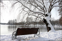 photo "Loneliness in two / Одиночество в два"
