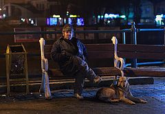 фото "собачья жизнь"