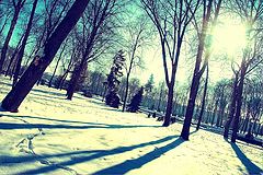 photo "***"