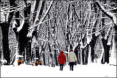 photo "Winter challenge"