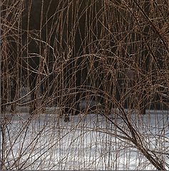 фото "струи"