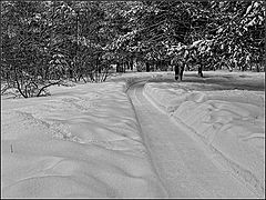 photo "snow dunes"