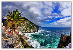 photo "marina"
