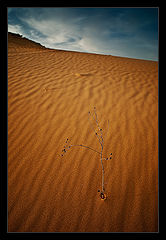 photo "***"