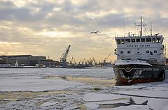 photo "Winter in port"